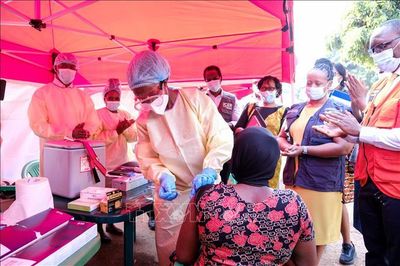 Sau sàng lọc, số ca nghi mắc Ebola ở Trung Phi giảm từ hơn 900 xuống còn 116 ca