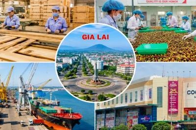 Gia Lai: Sản xuất công nghiệp, xuất khẩu và bán lẻ đồng loạt tăng