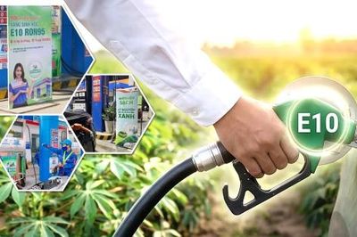 Xăng E10 mở thêm động lực 'xanh hóa' ngành logistics