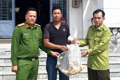 Người dân tự nguyện giao nộp 2 cá thể rồng đất Nam Mỹ cho Kiểm lâm