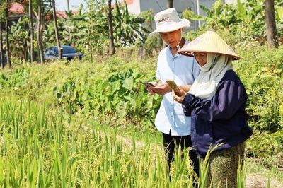 Ứng dụng thiết bị thông minh quản lý dịch hại cây trồng