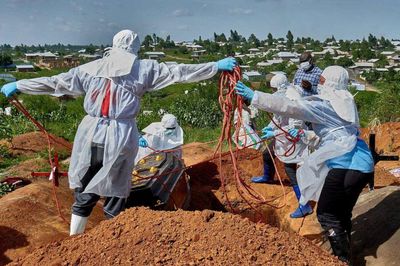 Xung đột văn hóa khiến cho dịch Ebola khó dập tắt ở châu Phi