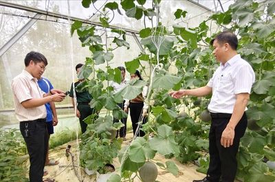 Mô hình 'Ngày thứ bảy đến với Nhân dân' ở Cát Tiên 2