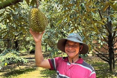 Người dân Cờ Griềng thoát nghèo nhờ trồng sầu riêng