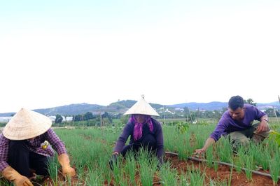Đồng bào DTTS vươn lên làm giàu từ nông nghiệp