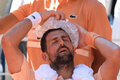Novak Djokovic gục ngã tại Roland Garros 2026: Khi kỷ lục Grand Slam thứ 25 trở thành chiếc bẫy