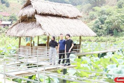 Làm giàu từ mô hình du lịch sinh thái