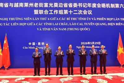 Mở ra triển vọng mới