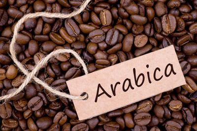Giá cà phê hôm nay 2/6: Giá Arabica giảm tuần thứ 5 liên tiếp