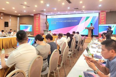 Kinh tế tầm thấp - dư địa phát triển mới của Việt Nam?