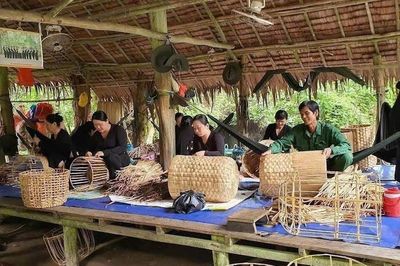 Đồng Tháp: Giữa rừng tràm Xẻo Quýt – Nơi thiên nhiên kỳ vĩ lưu giữ miền ký ức cách mạng