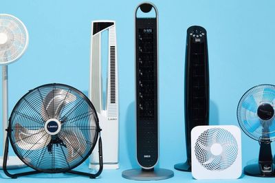 Chọn quạt nào cho phòng khách, phòng ngủ để mát lại tiết kiệm điện?
