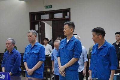 Cựu Chủ tịch và cựu Tổng Giám đốc Tổng Công ty Xi măng cùng được giảm án