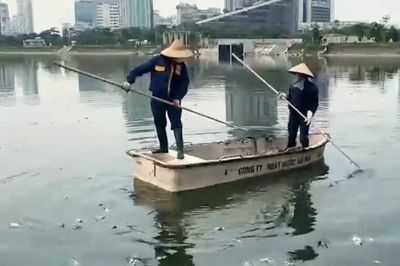 Phường Cầu Giấy kịp thời khắc phục sự cố cá chết ở hồ CV1