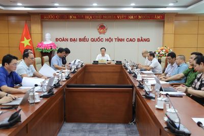 Hội nghị trực tuyến toàn quốc sơ kết thực hiện Công điện số 38 của Thủ tướng Chính phủ