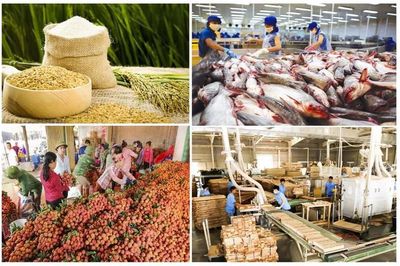 Xuất khẩu nông, lâm, thủy sản vượt 30 tỷ USD trong 5 tháng đầu năm