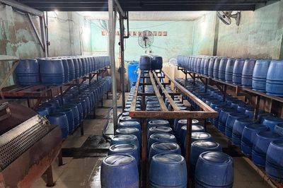 Khởi tố 4 bị can trong đường dây sản xuất giá đỗ dùng 'nước kẹo', tiêu thụ hơn 1.000 tấn