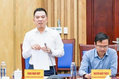 Nghệ An sẵn sàng cho chuỗi sự kiện Môi trường, Biển và Hải đảo quy mô cấp Quốc gia