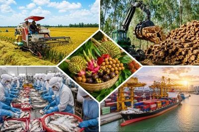 Xuất khẩu nông lâm thủy sản vượt mốc 30 tỷ USD sau 5 tháng