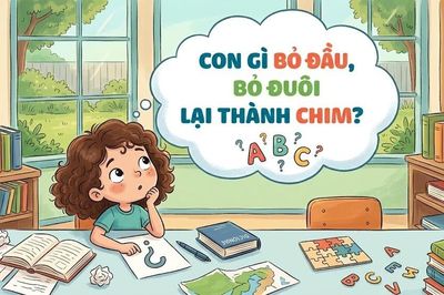 Con gì bỏ đầu, bỏ đuôi lại thành chim?