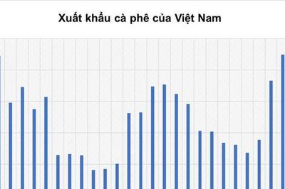 Giá đồng lập đỉnh gần 3 tuần, giá cà phê tiếp tục suy yếu