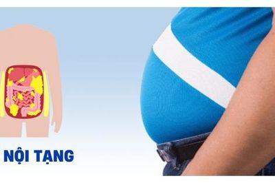 Dư thừa mỡ nội tạng gây nên những bệnh gì?