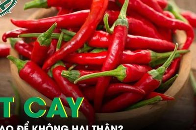 Ăn ớt cay thế nào để không gây hại thận và sức khỏe?