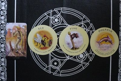 Tarot tuần này: Nhân Mã rung động trái tim, Song Ngư 'xú túi mè' trúng ngay 'bía'