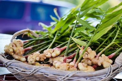 Vị thuốc quen thuộc bổ không kém nhân sâm