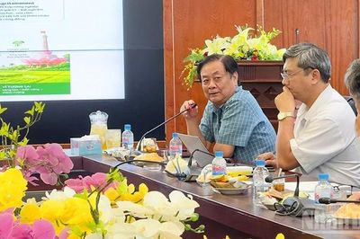 Vĩnh Long phát triển hệ sinh thái liên ngành để nâng tầm giá trị nông sản trong chuyển đổi xanh