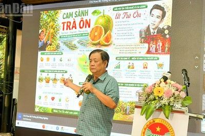 Chuyển đổi tư duy từ sản xuất nông nghiệp sang kinh tế nông nghiệp