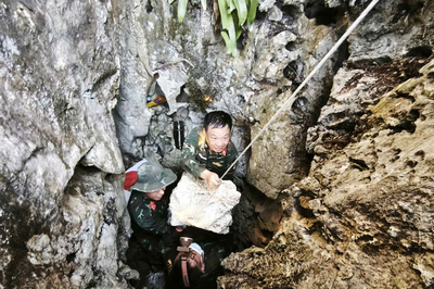 Những bước chân không mỏi giữa đại ngàn Tuyên Quang