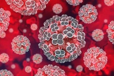 Chuyên gia lên tiếng về 'hiểm họa toàn cầu mang tên virus Hanta'