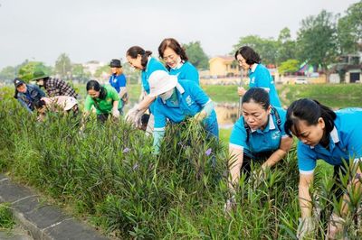 Các khu dân cư trên cả nước đều sẽ có tổ giám sát môi trường cộng đồng