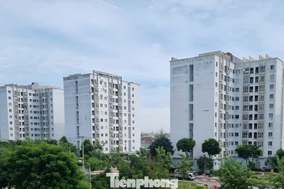 Đà Nẵng cho thuê nhà ở xã hội từ 54.000 đồng/m2/tháng