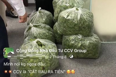 Vụ CCV Group: Từng giới thiệu 'cắt rau ra tiền' lừa hàng trăm người