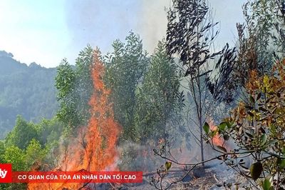 Nâng cảnh báo cháy rừng lên cấp nguy hiểm