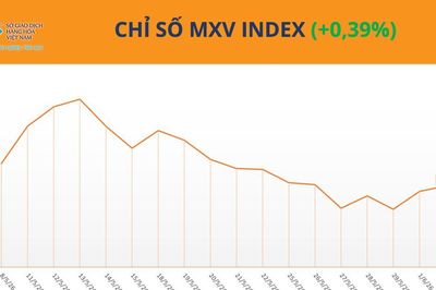 Thị trường cao su khởi sắc nhờ nhu cầu tăng và nguồn cung hạn chế
