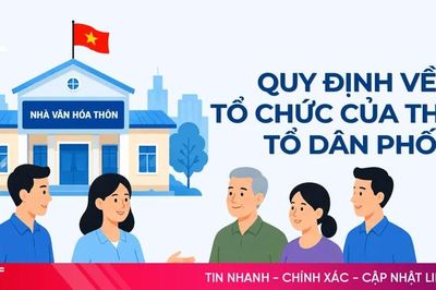 [Motion Graphic] Quy định về tổ chức của thôn, tổ dân phố