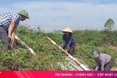 Bao giờ biển báo giao thông trên tuyến ĐH.38 được sửa chữa?