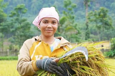 Hành trình làm lúa nước của người Rục sau 65 năm bước ra từ hang đá
