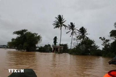 Đà Nẵng nghiên cứu mô hình 'thành phố bọt biển' để giảm ngập lụt đô thị