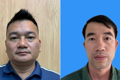 Mua bán vảy tê tê Java và tê tê vàng, 3 đối tượng bị khởi tố