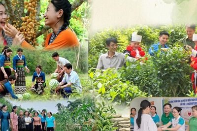 Những dấu ấn nổi bật trong công tác Hội và phong trào nông dân giai đoạn 2023-2026