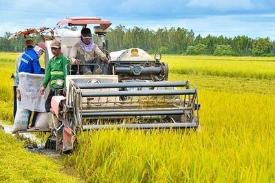 Sản xuất nông nghiệp phục hồi, nuôi trồng thủy sản tiếp tục khởi sắc