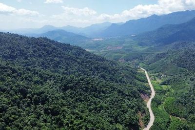 Bắc Ninh cảnh báo cháy rừng cấp cực kỳ nguy hiểm tại nhiều địa phương