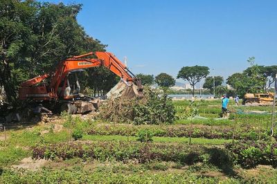 Sớm triển khai dự án Khu Tổ hợp công trình phục vụ Lễ hội pháo hoa quốc tế Đà Nẵng