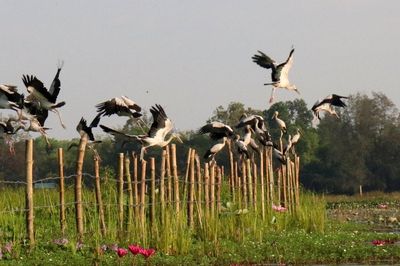 Thúc đẩy phát triển du lịch cộng đồng phía nam Đà Nẵng