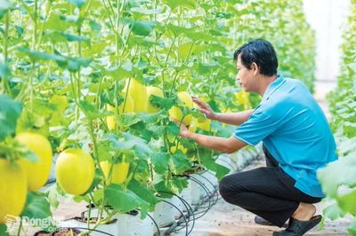 Đồng Nai đặt mục tiêu cao trong xây dựng nông thôn mới