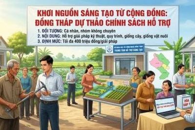 Sở Khoa học và Công nghệ Đồng Tháp lấy ý kiến về chính sách hỗ trợ hoạt động sáng tạo không chuyên